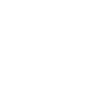 Quara Robotics
